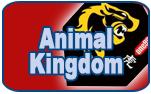 Animal Kingdom Flights